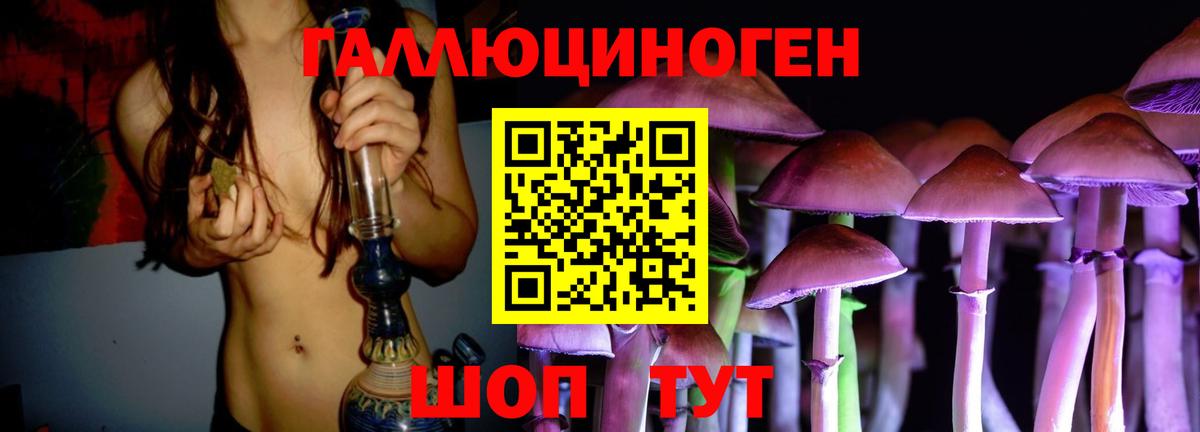 Псилоцибиновые грибы Psilocybine cubensis Берёзовский